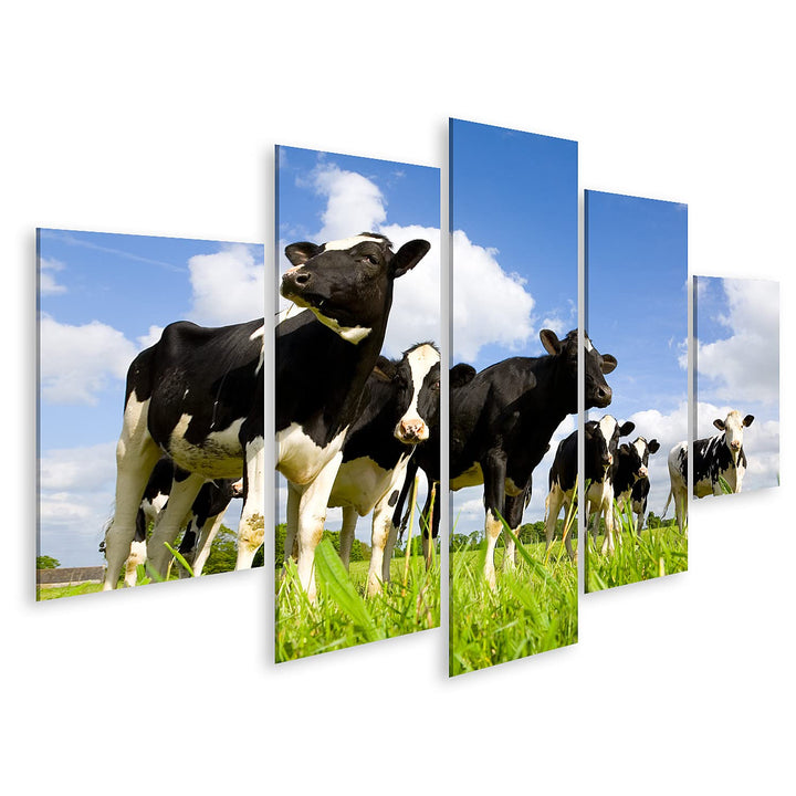 islandburner Bild auf Leinwand Holstein Kühe Auf Der Wiese Wandbild Poster Kunstdruck Bilder Format:
