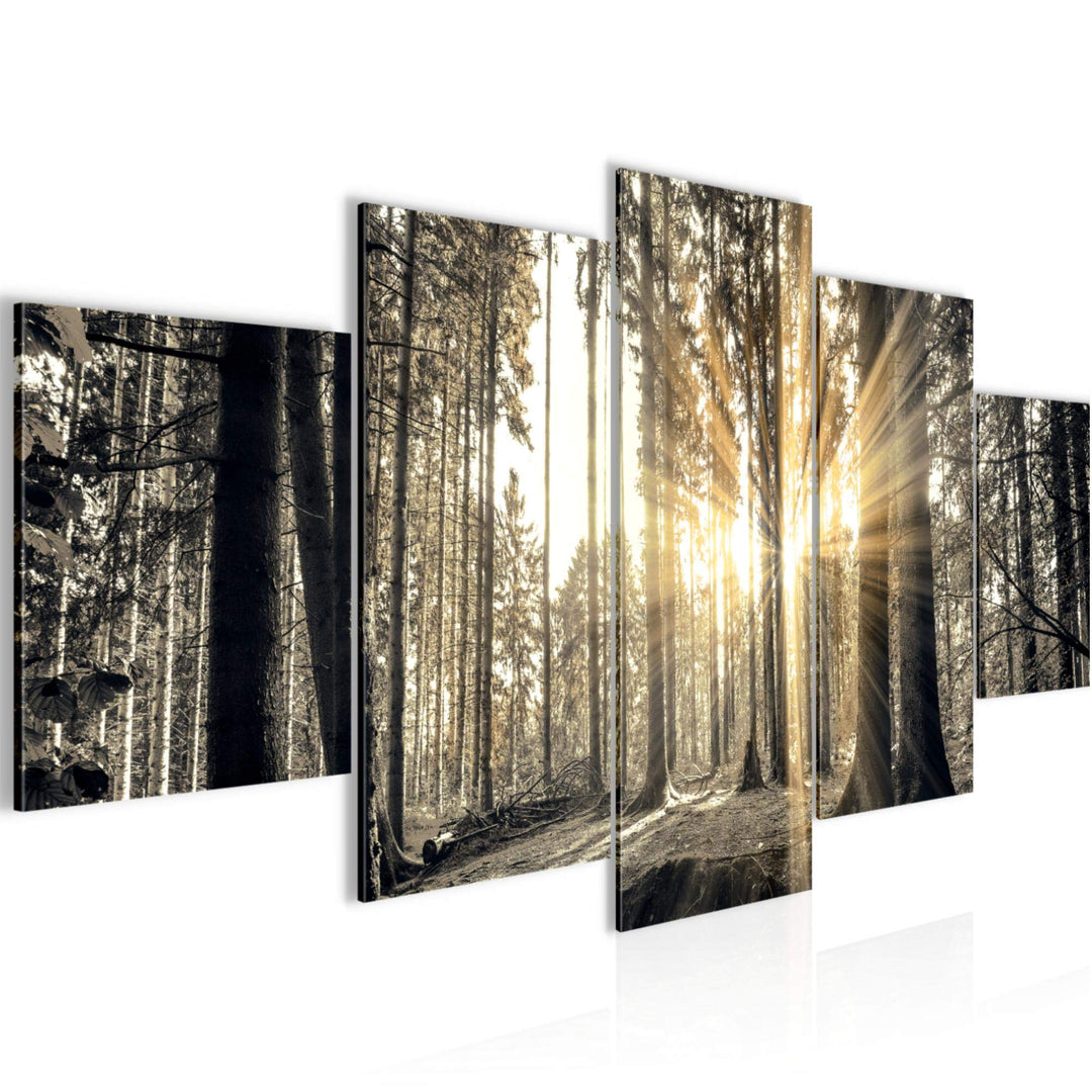Runa Art Bild Schlafzimmer Wohnzimmer Wald Landschaft 5 Teilig Sonne Grau Braun Wandbilder auf Vlies
