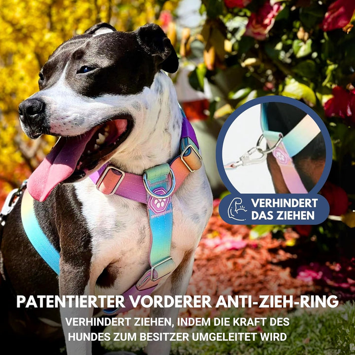 Spark Paws No Pull Hundegeschirr Grosse Hunde, Halterdesign mit Frontclip, Y Geschirr Hund, Robust u
