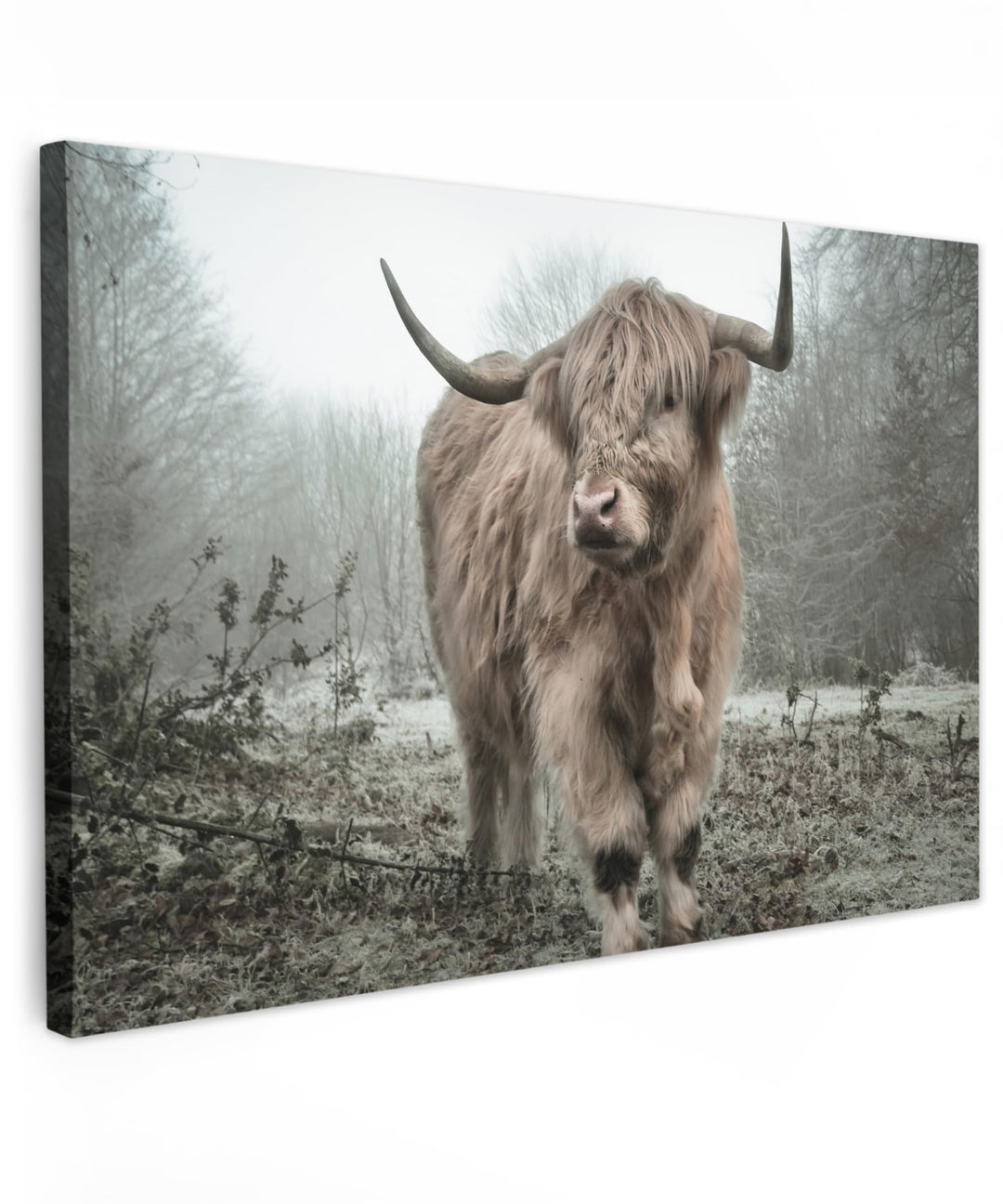 MuchoWow© Leinwandbild Gross 120x80 cm XXL Dekoration Wohnzimmer Bilder Aufhängen Wall Decoration Li