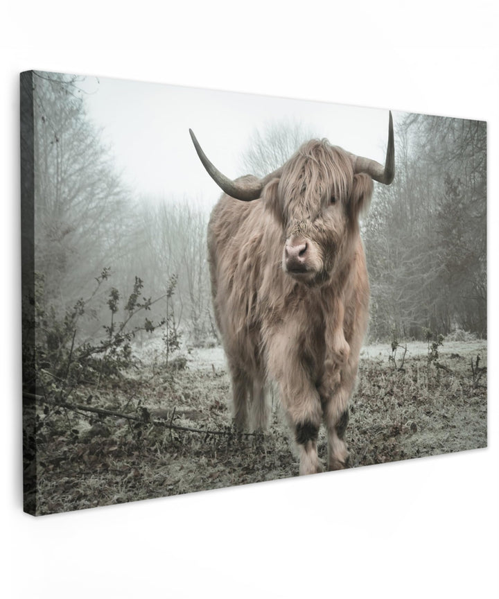 MuchoWow© Leinwandbild Gross 120x80 cm XXL Dekoration Wohnzimmer Bilder Aufhängen Wall Decoration Li