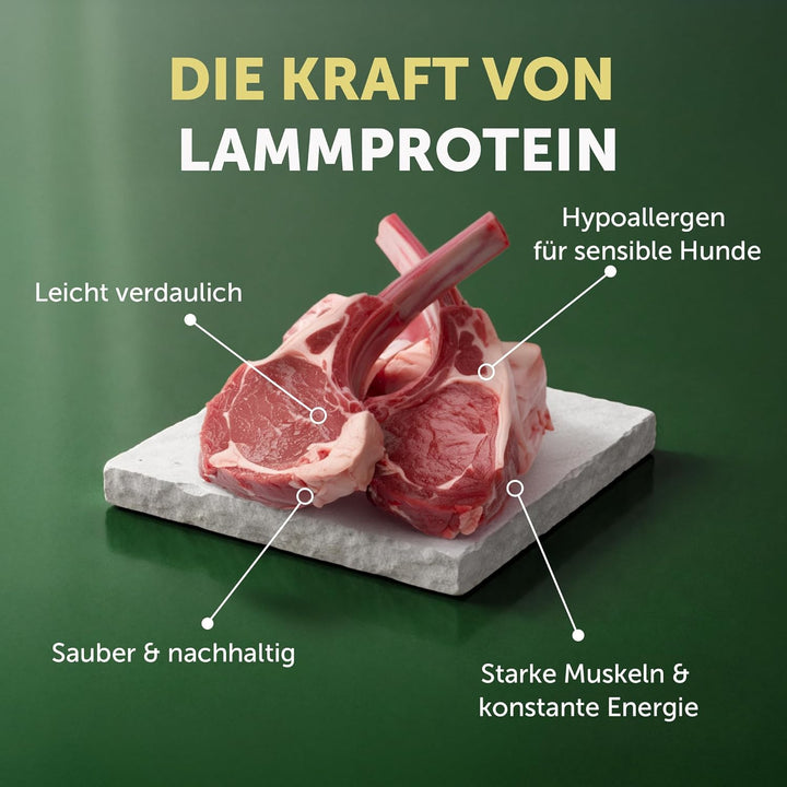 Nature's Protection Superior Care Trockenfutter für Hunde - Hypoallergenes Hundefutter Getreidefrei