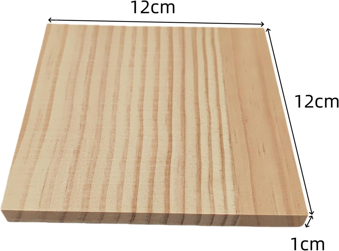 12 Stück Unlackierte quadratische Holzblöcke zum Basteln, 12 x 12 x 1 cm blanko Holzquadrate aus Kie