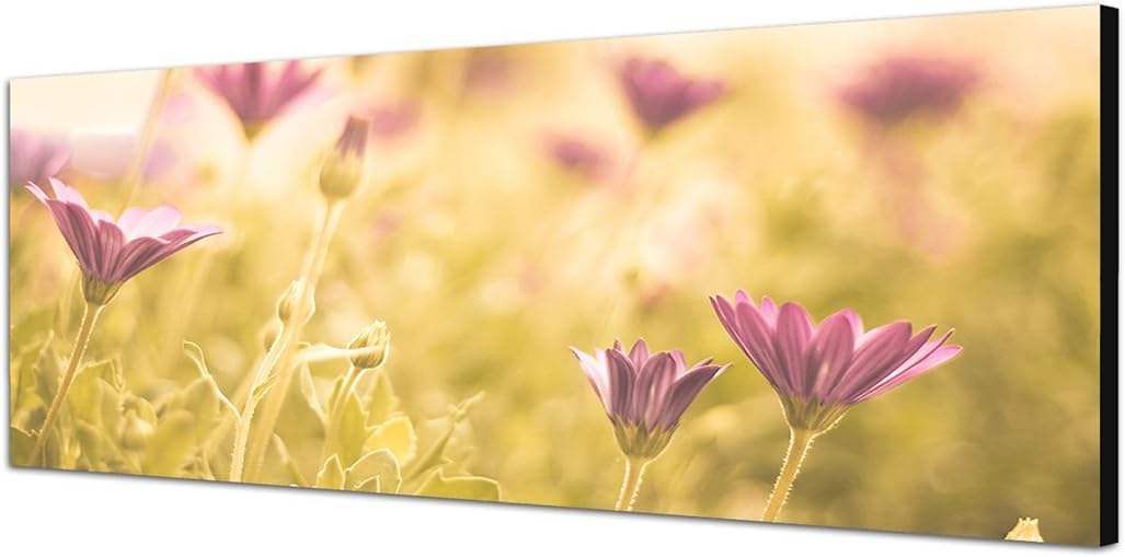 Paul Sinus Art Panoramabild auf Leinwand und Keilrahmen 150x50cm Blumen Wiese Frühling Sonne Licht
