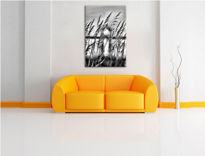 Pixxprint Sonne zwischen Gräsern / 100x70cm Leinwandbild bespannt auf Holzrahmen/Wandbild Kunstdruck