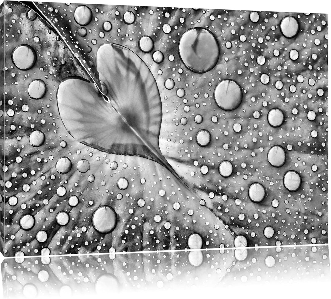 Pixxprint Monocrome, Herz aus Tautropfen auf einem Blatt, Format: 100x70 auf Leinwand, XXL riesige B