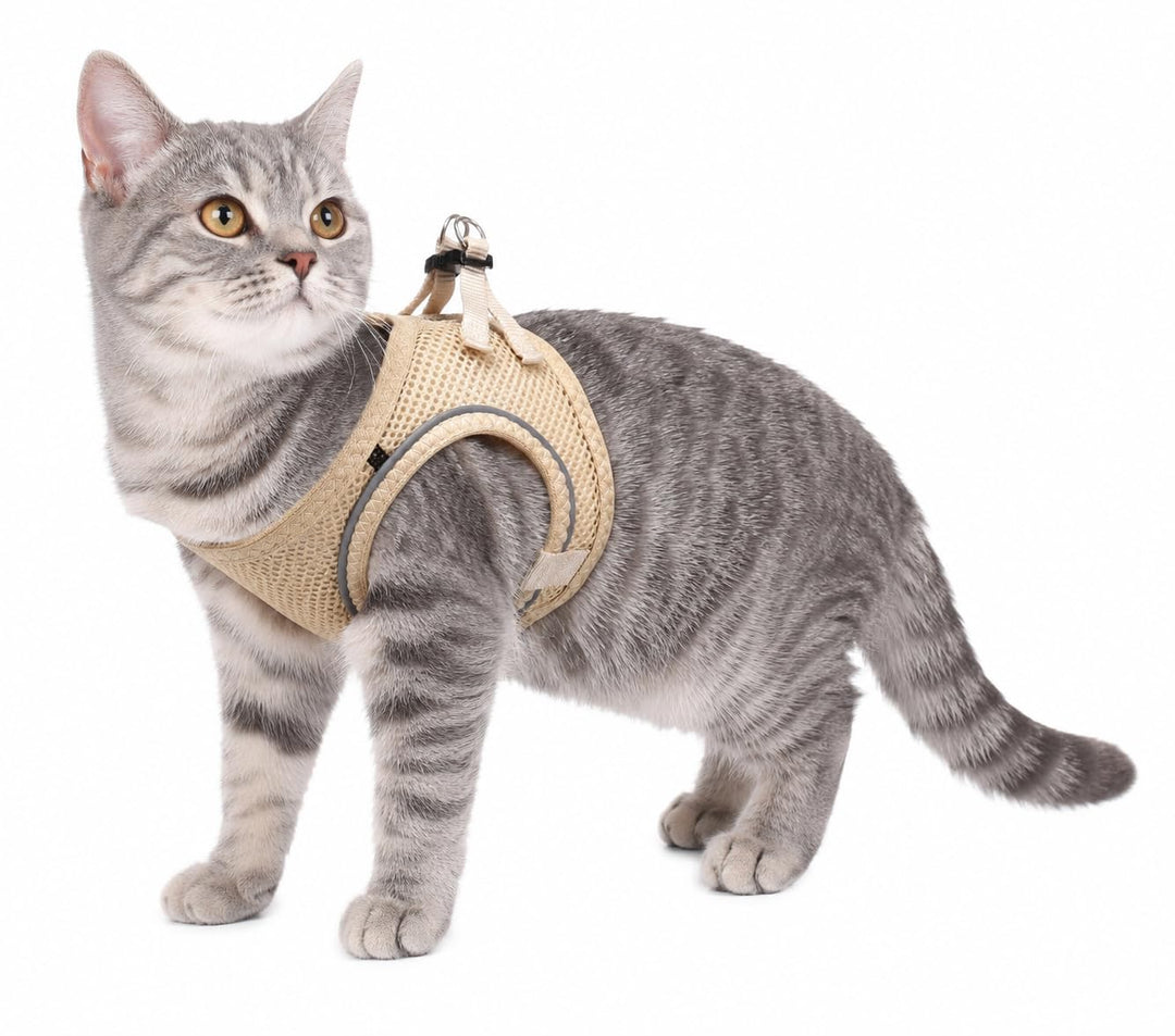 katzengeschirr - Step&Go Berta beige S - 24-29 cm / 31-35 cm - Nylon mit atmungsaktivem mesh und ref