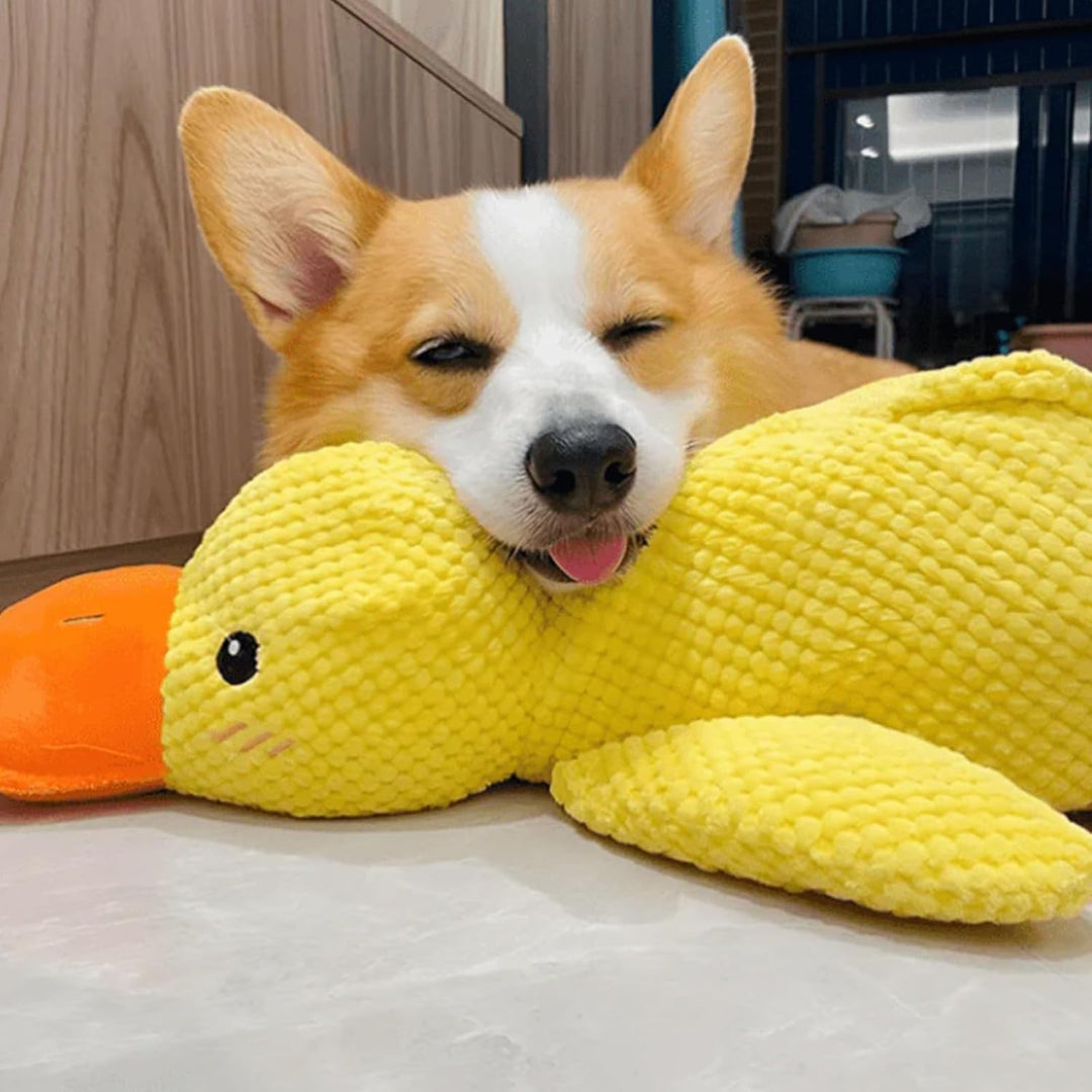 Interaktives Hundespielzeug Unzerstörbar, Anti Stress Ente Hund, Quietschspielzeug Hund Kuscheltier,