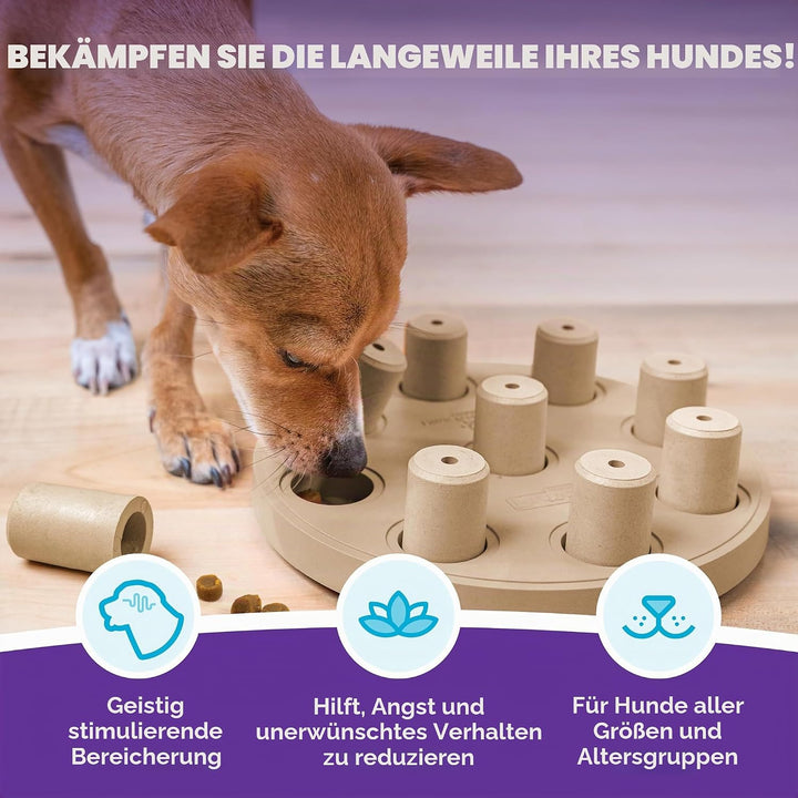 Outward Hound Nina Ottosson Dog Smart Treat Puzzle Enrichment Toy, Level 1 Beginner, Tan, Composite,