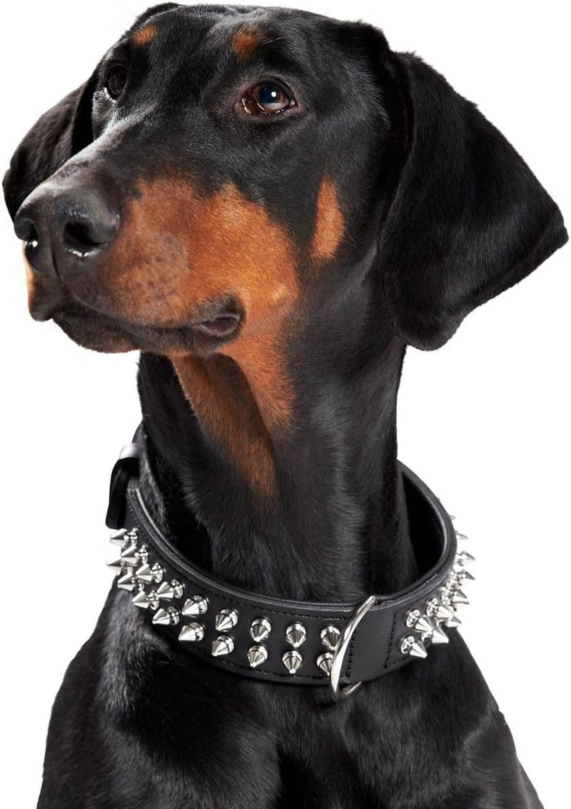 HUNTER RAMBO Hundehalsband, Leder, rockiger Nietenbesatz, 60 (M-L), schwarz schwarz 60 (M-L), schwar