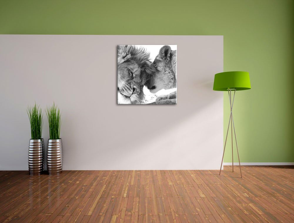 Pixxprint Bezauberndes kuschelndes Löwenpaar schwarz/weiss, Format: 70x70 auf Leinwand, 70x70