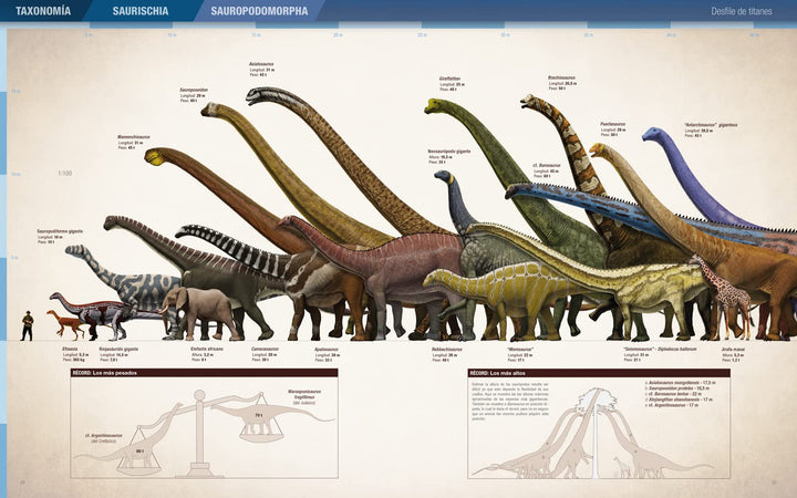 Récords y curiosidades de los dinosaurios: Saurópodos y otros sauropodomorfos, Gebundenes Buch
