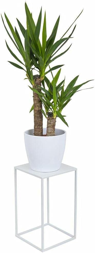 HowHomely Blumenständer Metall Weiss 40 cm Hoch - Solider und Robuster Blumenhocker Metall - Pflanze