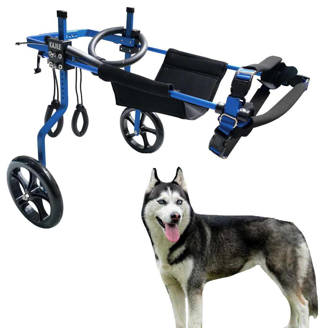 Verstellbarer 2-Rad-Hunderollstuhl, XL-3 Grösse für behinderte Hund Hinterbeine Rehabilitation, geei