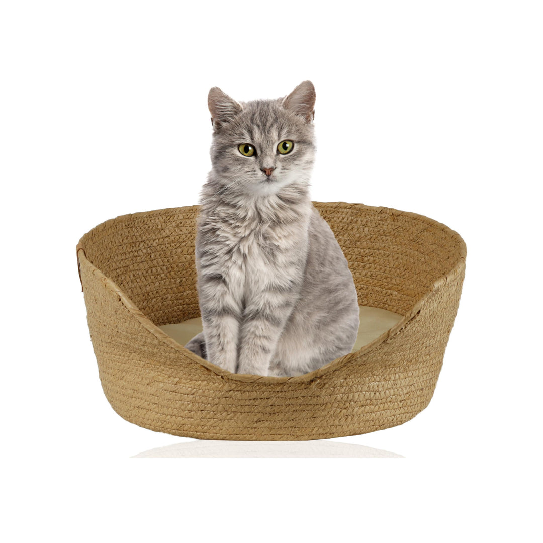 Rohrschneider umweltfreundlicher Tierkorb | Hundebett & Katzenbett aus geflochtenem Papier mit weich
