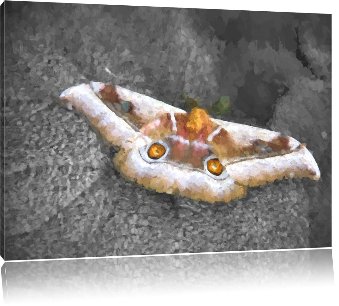 eleganter Schmetterling auf Blatt schwarz/weiss Deluxe Format: 100x70 cm auf Leinwand, XXL riesige B