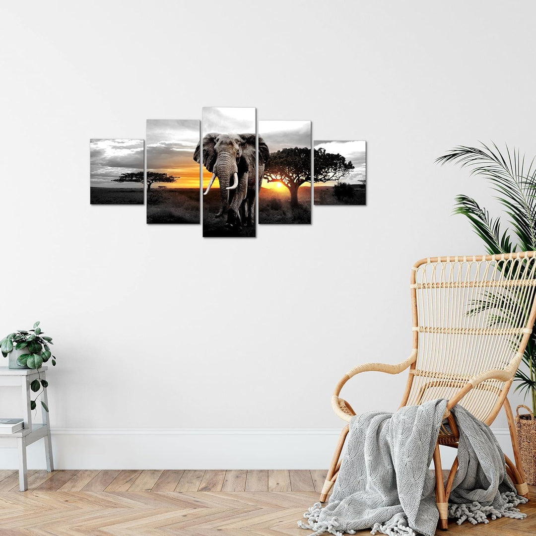 Runa Art Wandbilder Afrika Elefant 5 Teilig Bild auf Vlies Leinwand Deko Wohnzimmer Schlafzimmer Pan