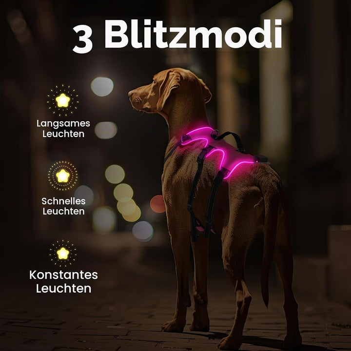 Jewyow Hundegeschirr Leuchtend, Wiederaufladbare LED Hundegeschirr, Led Geschirr für Hunde mit Weich
