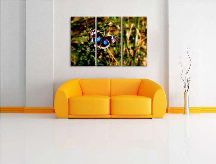 aussergewöhnlicher Schmetterling auf Grashalm NewArt 3-Teiler Leinwandbild 120x80 Bild auf Leinwand,