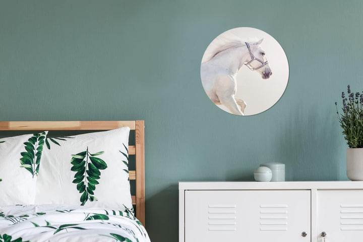 Wandbild Rund Wanddeko Deko Wohnzimmer Bilder 30x30 cm Pferd - Weiss - Mähne, 30x30 cm