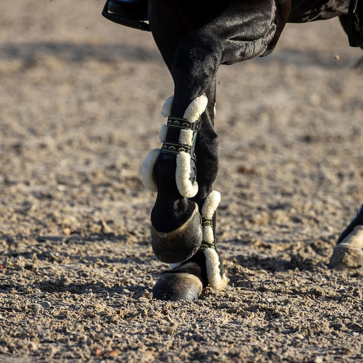 Veredus KV Gel Vento STS Front with Sheepkin Tendon Boot Large Black