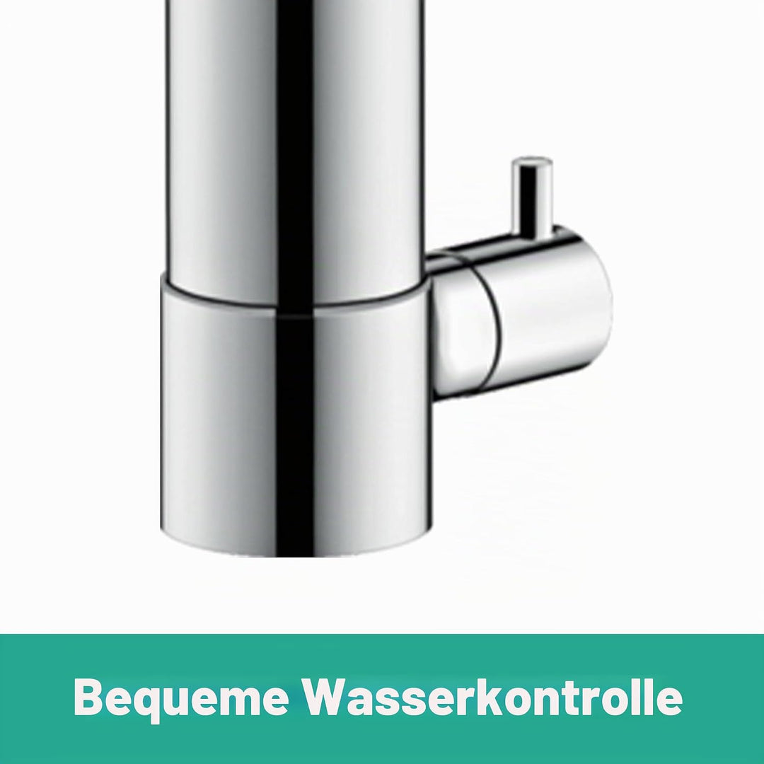 hansgrohe Küchenarmatur Zesis M33, Wasserhahn Küche mit Auslauf Höhe 200 mm, schwenkbar, mit Gerätea