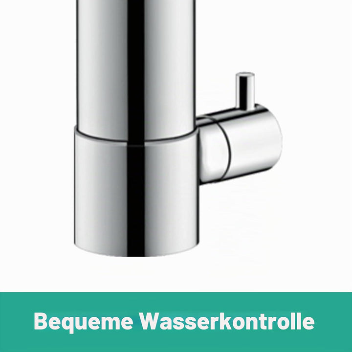 hansgrohe Küchenarmatur Zesis M33, Wasserhahn Küche mit Auslauf Höhe 200 mm, schwenkbar, mit Gerätea