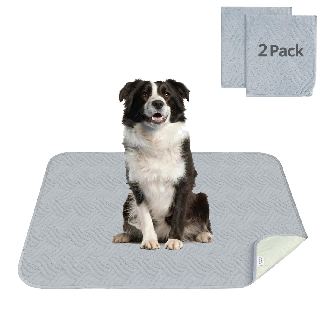 Haustier-Urinunterlage Waschbar Welpenunterlagen Matte für Hunde 2er Set Schnell Absorbierend Hausti