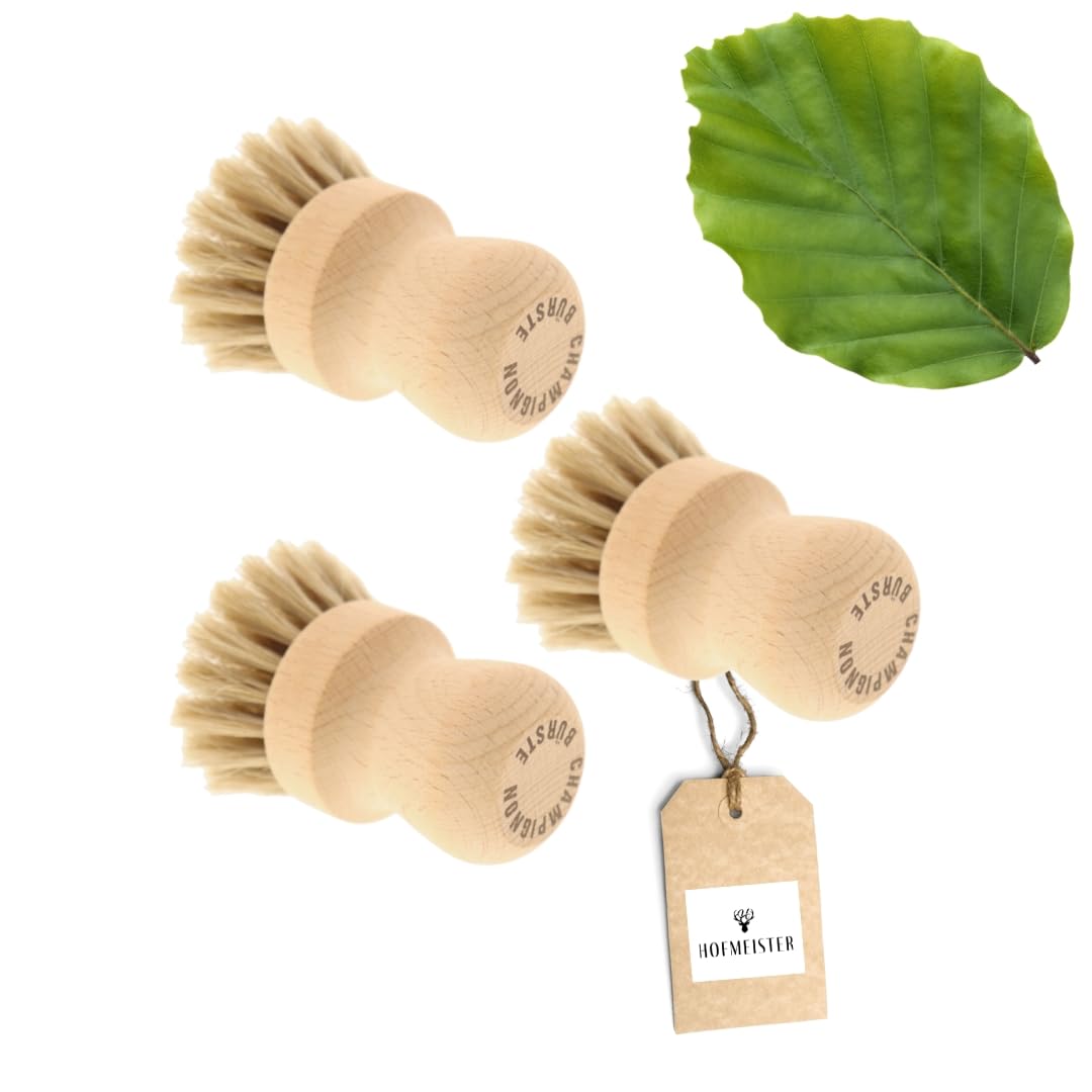 3X HOFMEISTER® Pilzbürste Champignonbürste Holz Naturborste - mit edlem Rosshaar, für alle Pilze gee