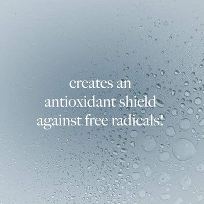 Dermalogica Antioxidant Hydra Mist 150 ml Einzel-*, Einzel-*