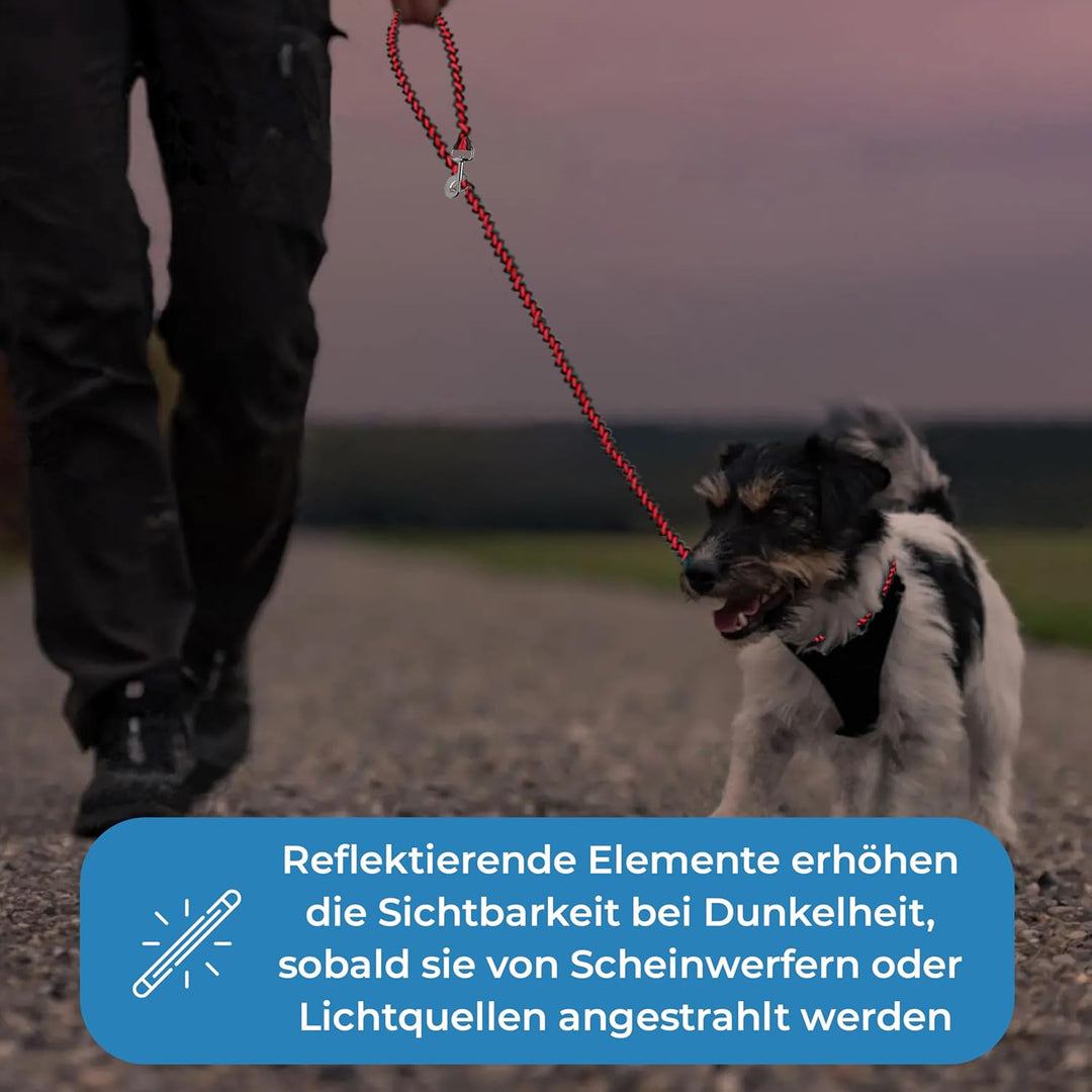 Testnote: Sehr gut - Hundeleine reflektierend I 2m, verstellbar, wetterfest & reissfest bis 250 kg I