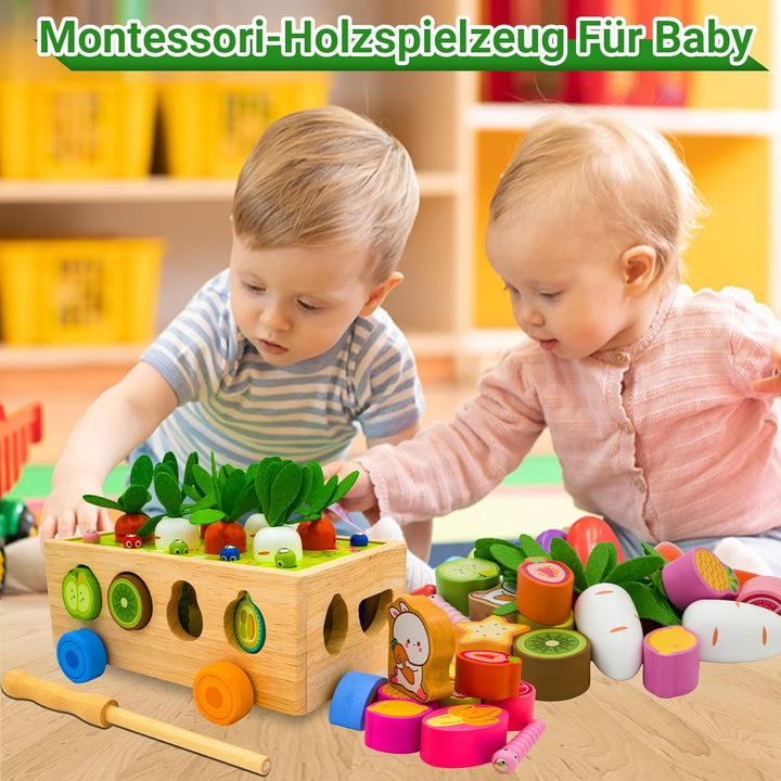 RunHero Montessori Holz Sortierspie Karotten Steckspiel Holzspielzeug ab 1 Jahr Holztiere Motorikspi