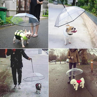 Hund Transparente Regenschirm Pet Umbrella Skalierbar Hundeschirm Welpen mit Leine und Kette für Spa
