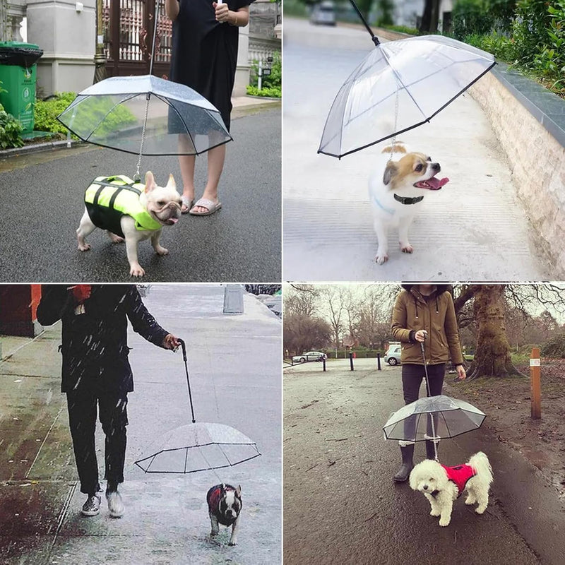 Hund Transparente Regenschirm Pet Umbrella Skalierbar Hundeschirm Welpen mit Leine und Kette für Spa