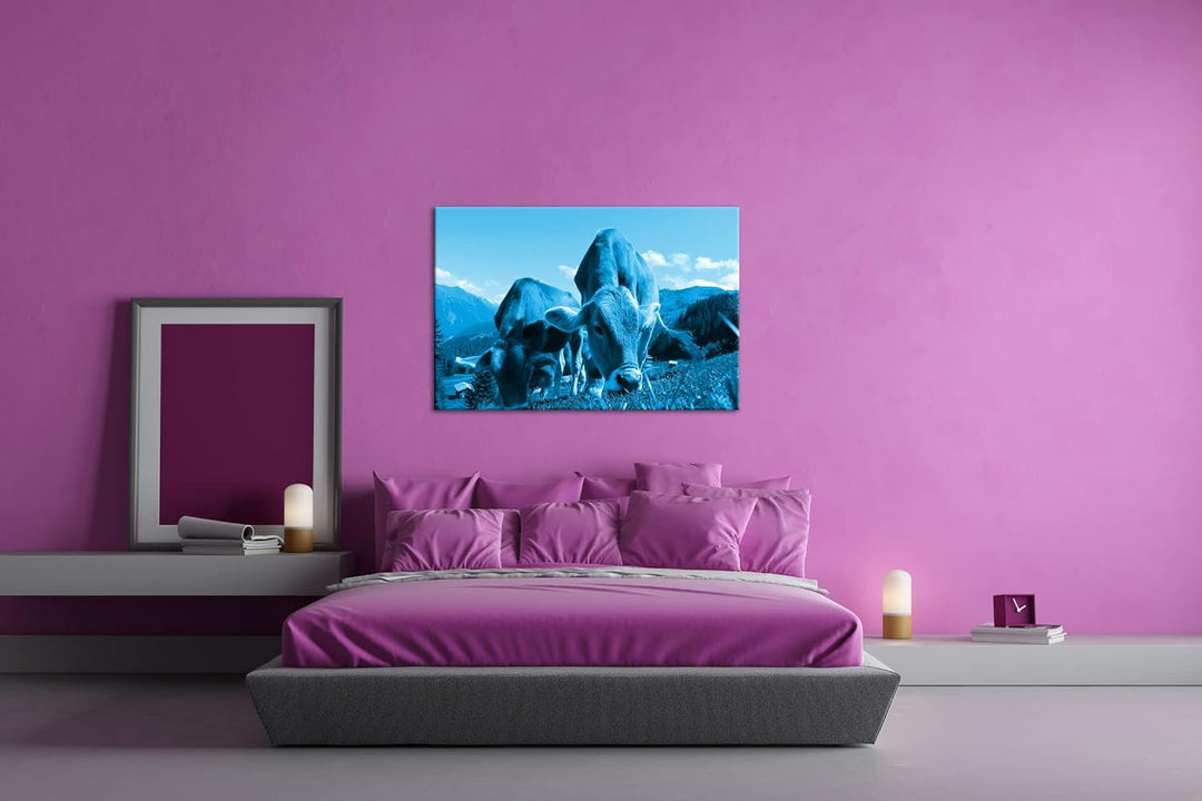 deyoli friedliche Kühe auf einer Weide in Österreich Format 80x60 Effekt: Monocrome Blau als Leinwan