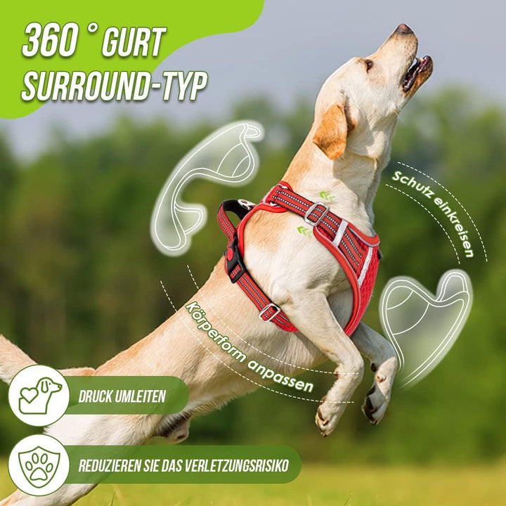 Eyein No-Pull Hundegeschirr, Air-Mesh Atmungsaktiv Brustgeschirr für kleine, mittelgrosse und grosse