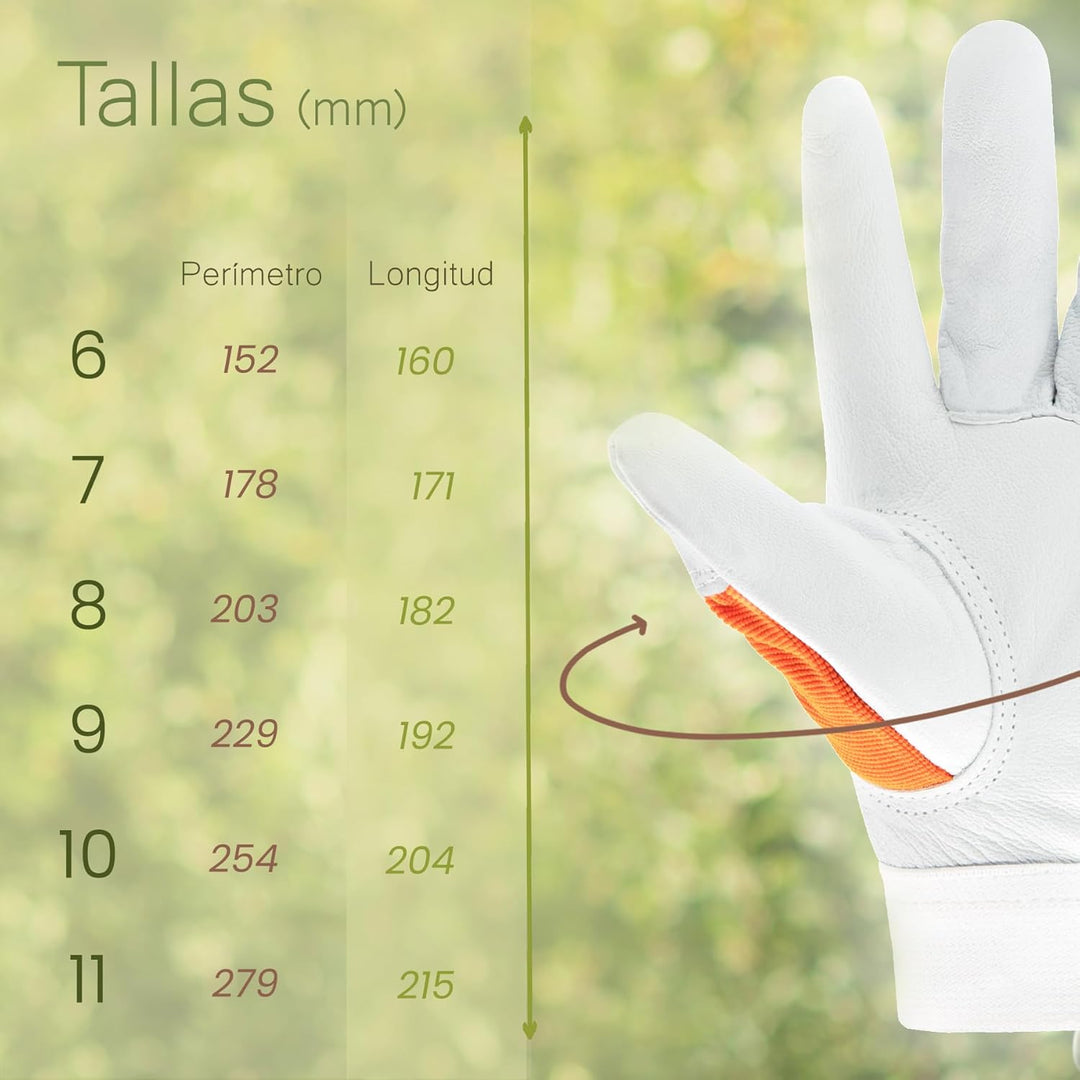 EXBRIECO 1, 3, 6 oder 12 Paar, Gartenhandschuhe aus Leder, Lammfellhandschuhe, Arbeitshandschuhe aus