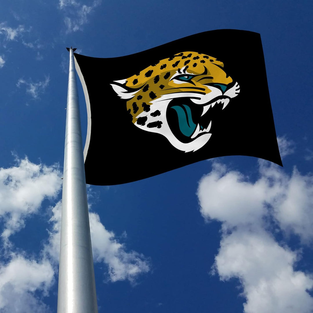 Rico Industries NFL Football Green Bay Packers Green Banner Flagge, 91 x 152 cm Green Bay Packers 3'
