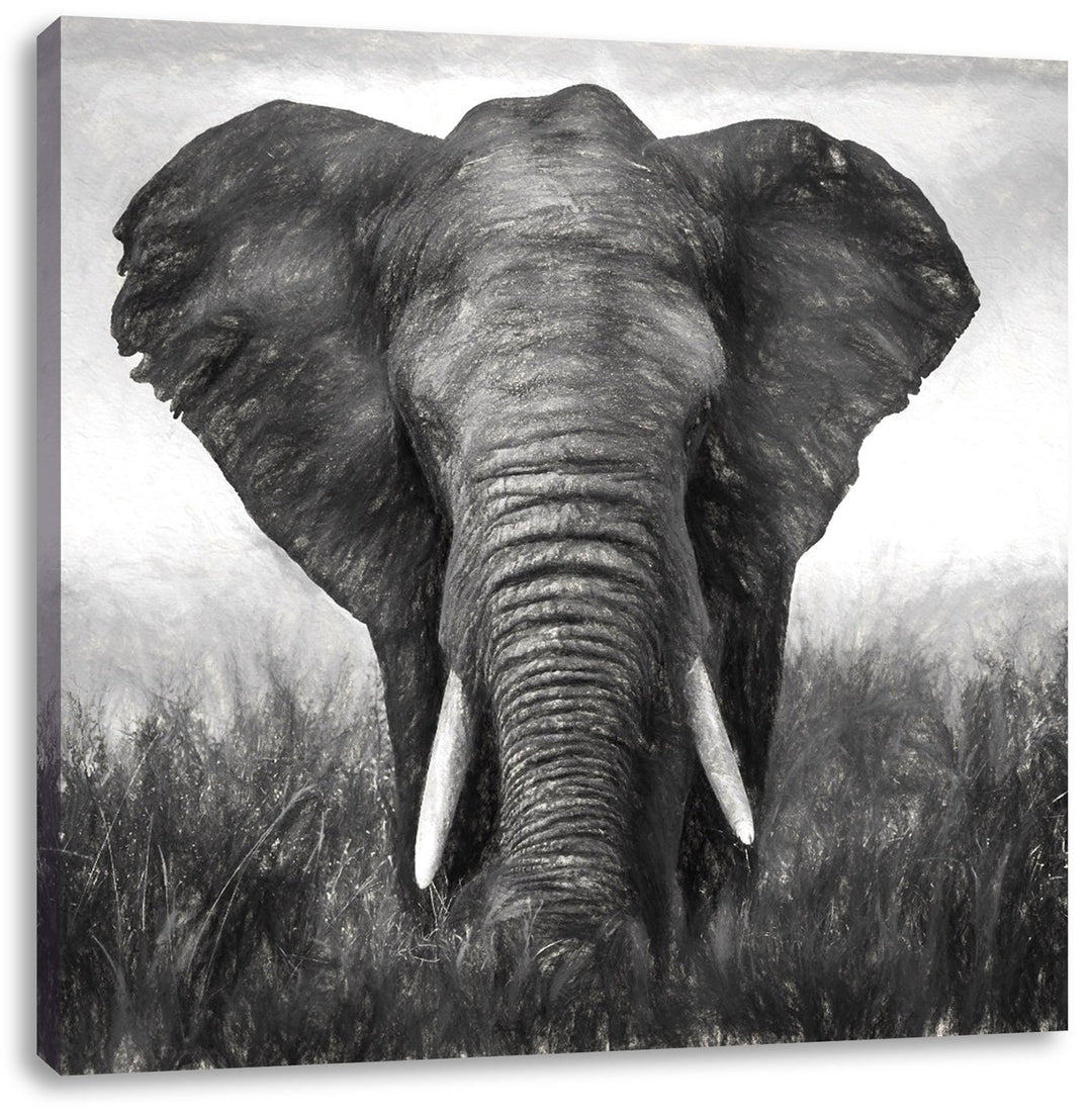 prachtvoller Elefant, Format: 70x70 als Leinwandbild, tolle Bilder fertig auf Holzrahmen gespannt, K