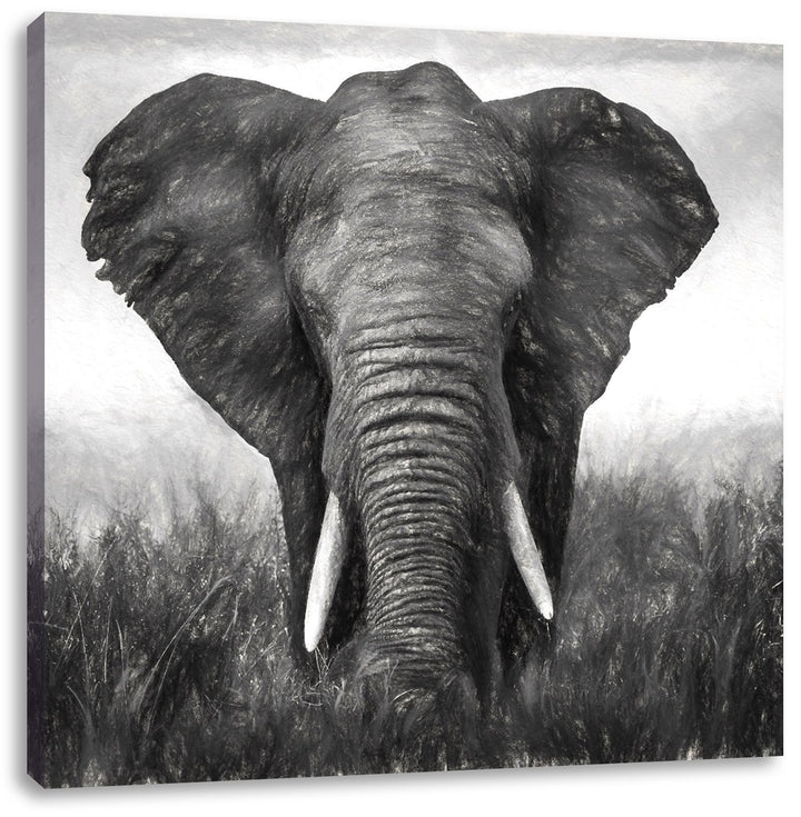prachtvoller Elefant, Format: 70x70 als Leinwandbild, tolle Bilder fertig auf Holzrahmen gespannt, K