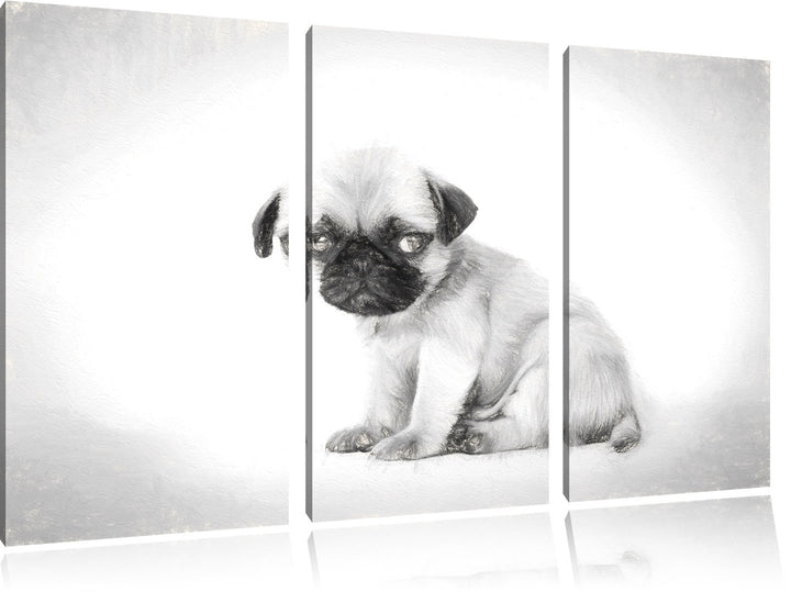 Pixxprint Kleiner Hundewelpe Mops als Leinwandbild/Grösse: 3 Teilig (120x80) cm/Wandbild/Kunstdruck/