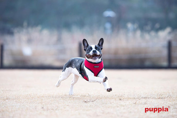Puppia Hundegeschirr für kleine und mittelgrosse Hunde - super weich in vielen Farben - Auch als Wel