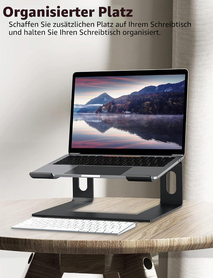 ALASHI Laptop-Ständer für Schreibtisch, Aluminium-Computer-Erhöhung, ergonomischer Notebook-Halter,