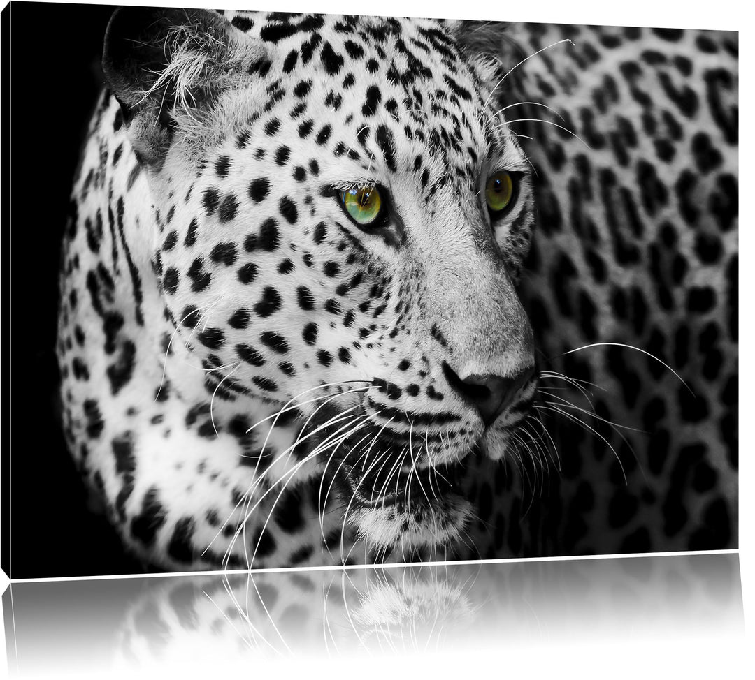 Dark Leopard mit grünen Augen schwarz/weiss Format: 100x70 auf Leinwand, XXL riesige Bilder fertig g