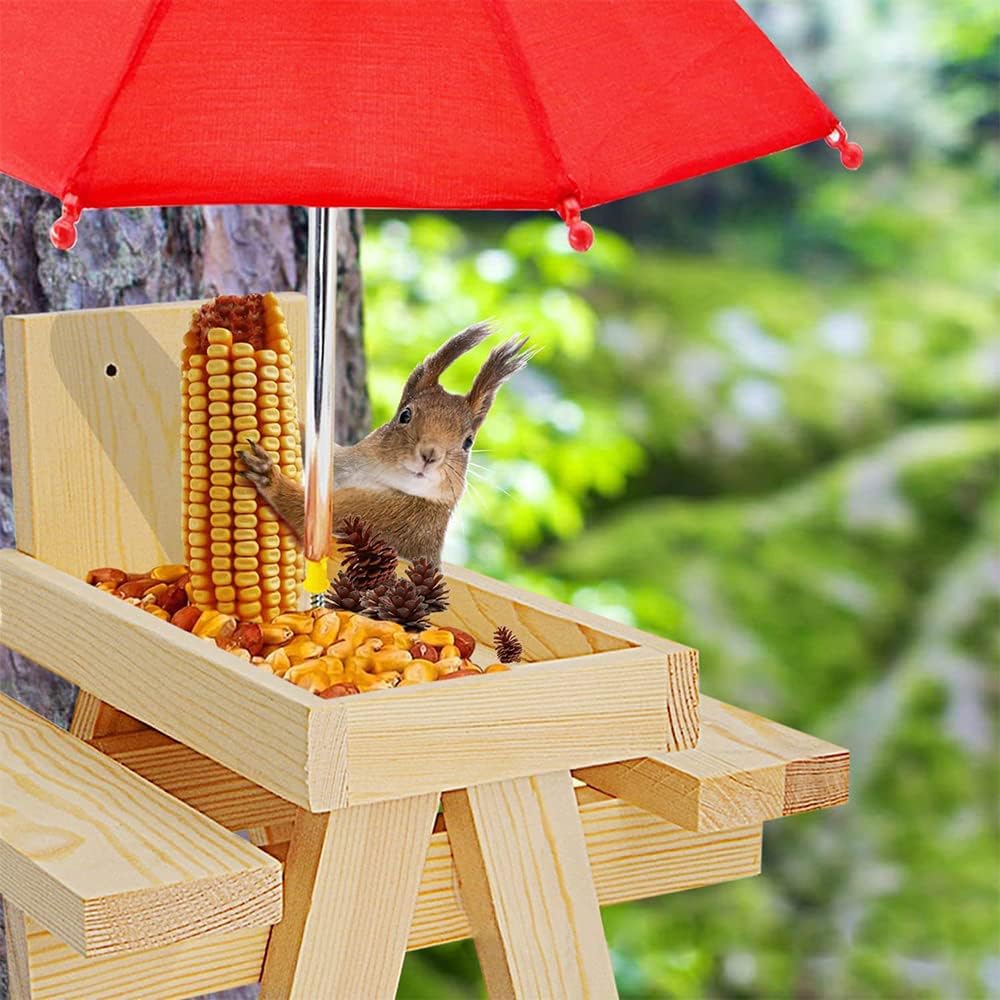 Eichhörnchen Futterhaus Wetterfest Eichhörnchen Picknicktisch Holz Eichhörnchen-Futtertisch Mit Rege