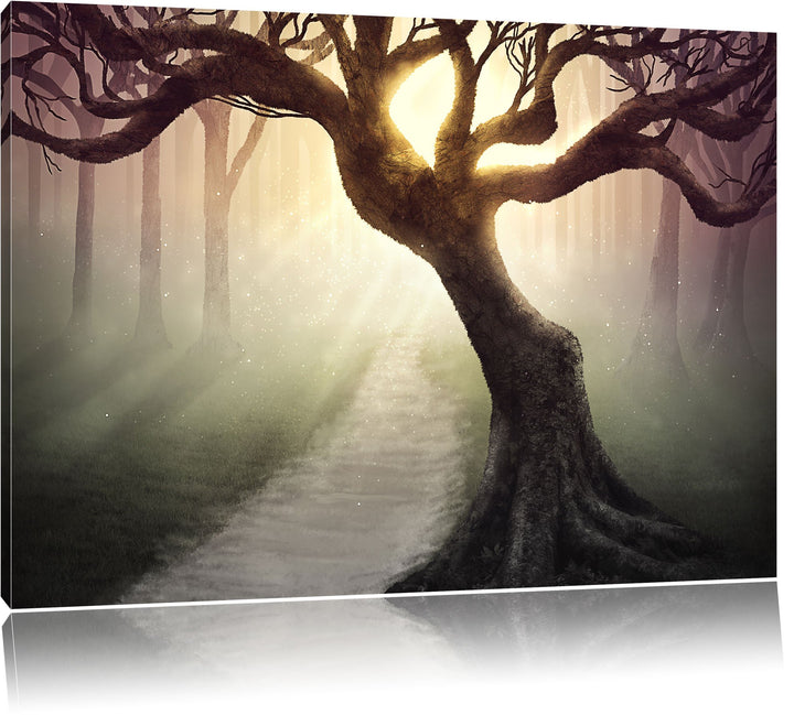 Pixxprint Baum am Waldweg als Leinwandbild/Grösse: 100x70 / Wandbild/Kunstdruck/fertig bespannt, 100