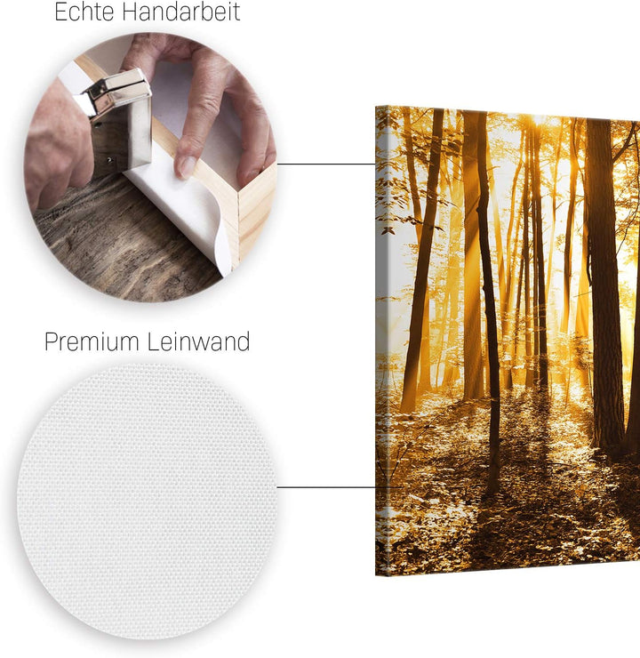 ge Bildet Bild auf Leinwand | Landschaftsbilder - beautiful morning in the forest G in 100x70 cm als