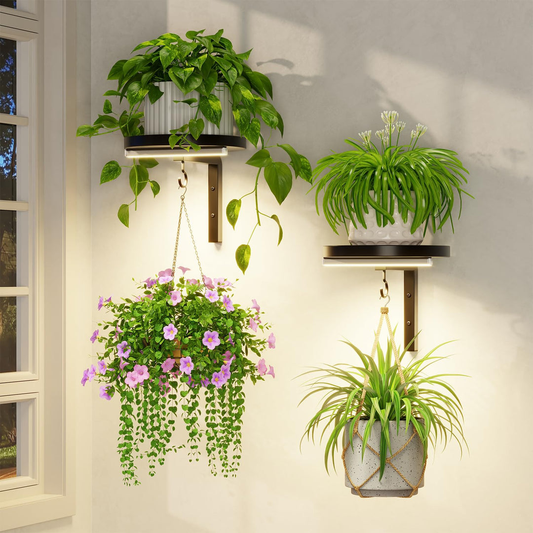 LASZOLA Blumenständer Wandmontage Pflanzenhalter Blumenregal mit Lights | 2 Stück Moderne Blumentopf