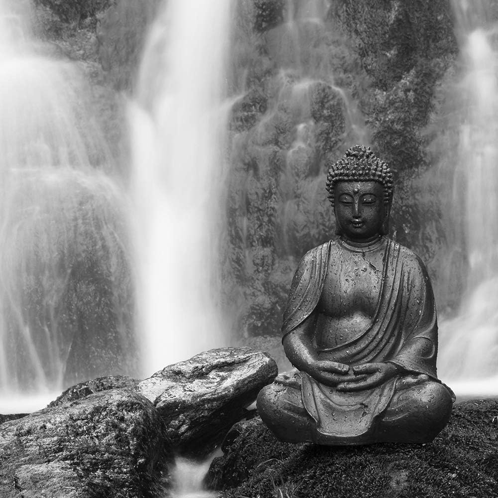 Feeby Wandbild XXL 5 Teilig Buddha Leinwandbild Wasserfall Natur Schwarzweiss 300x140 cm Leinwandbil