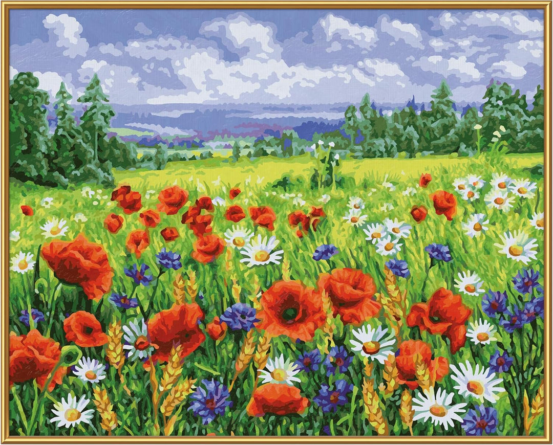 Schipper 609130824 Malen nach Zahlen - Blumenwiese - Bilder malen für Erwachsene, inklusive Pinsel u
